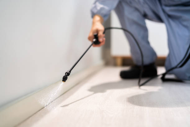 Licensed Fumigation Services service in Hidalgo County County, NM - Nex Pest Control